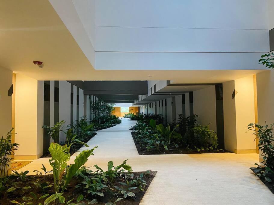 Fantastic Loft/beachfront+pools Apartment Cartagena