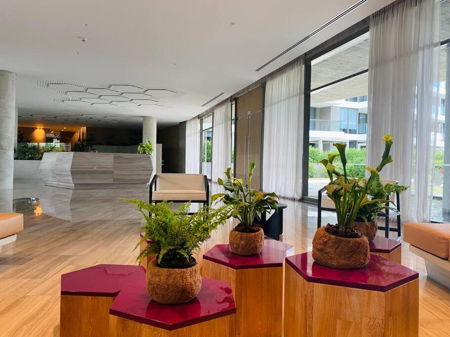 Fantastic Loft/beachfront+pools Apartment